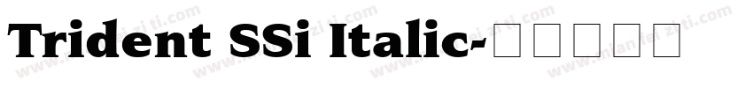 Trident SSi Italic字体转换